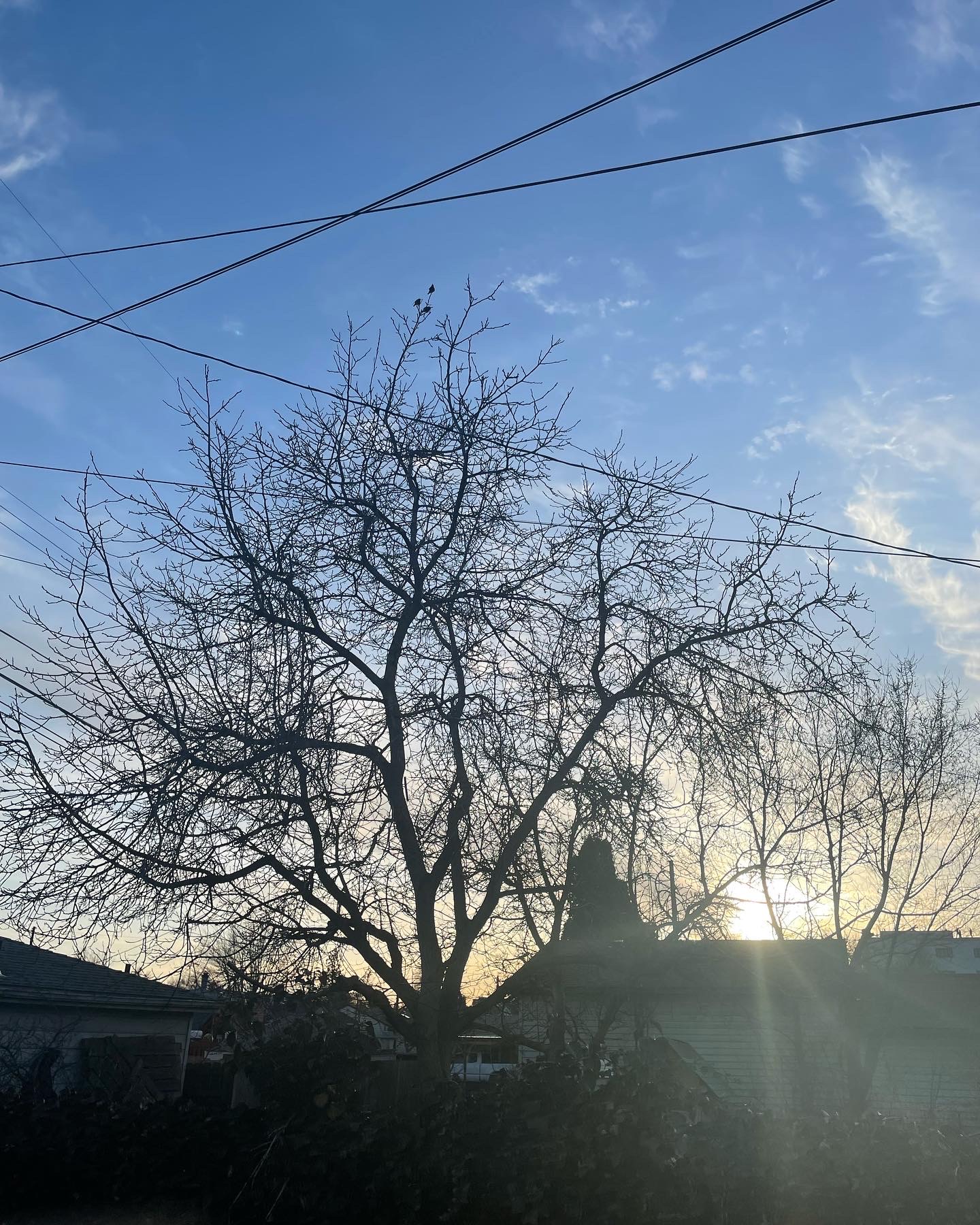 0E81165B-E343-4D48-839B-50A2A0BBBB68.jpeg| 500