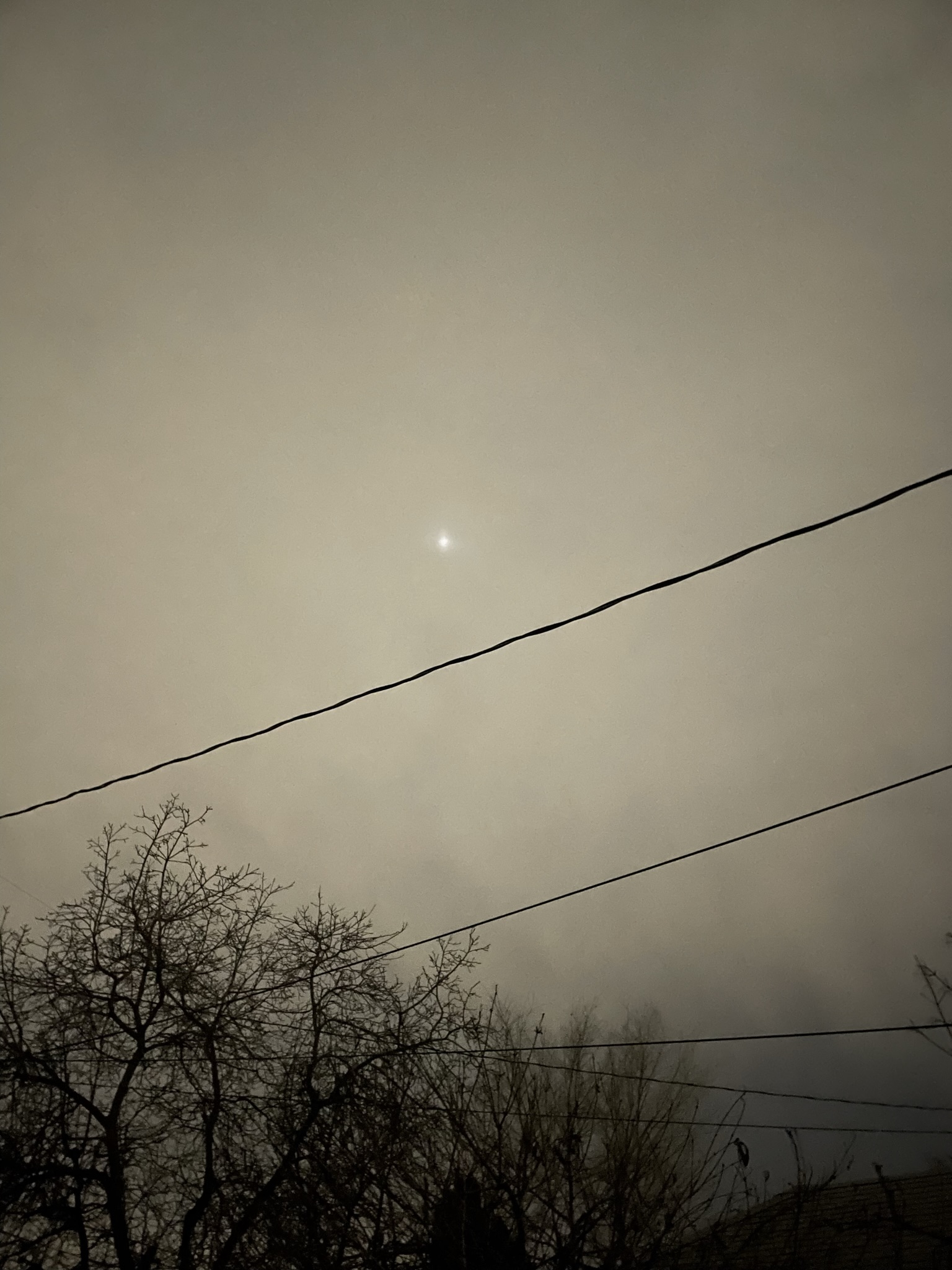 IMG_0452.jpeg