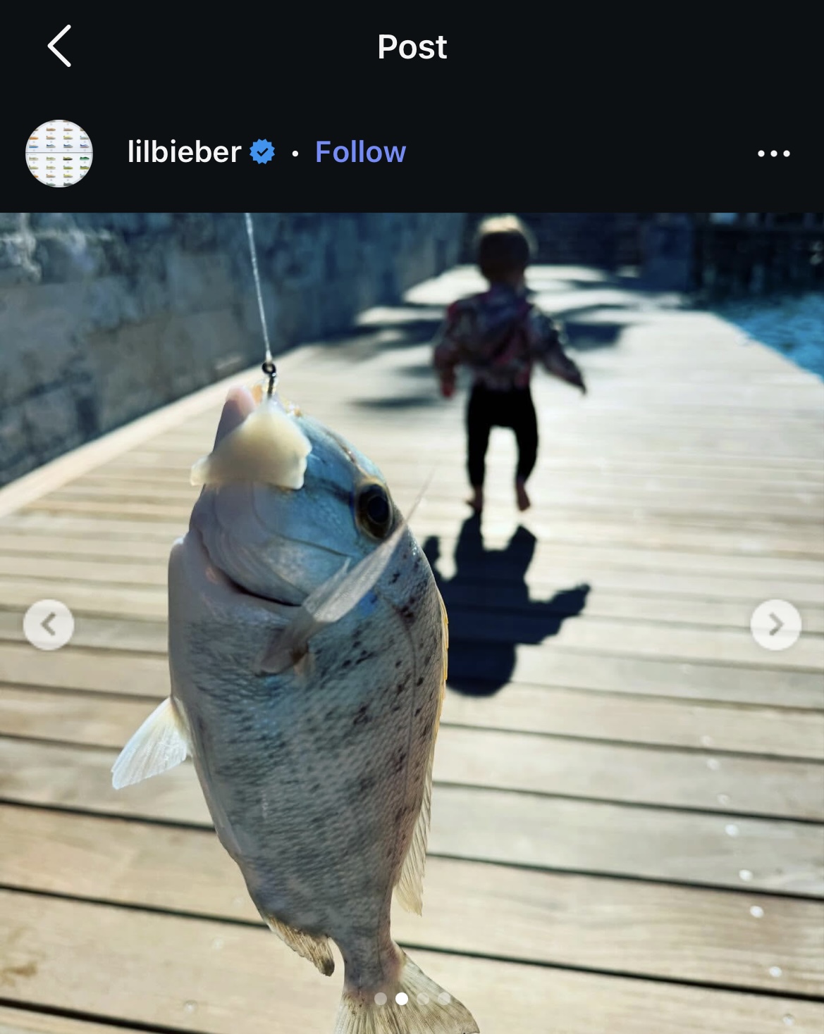 IMG_4993 (1).jpg| 300