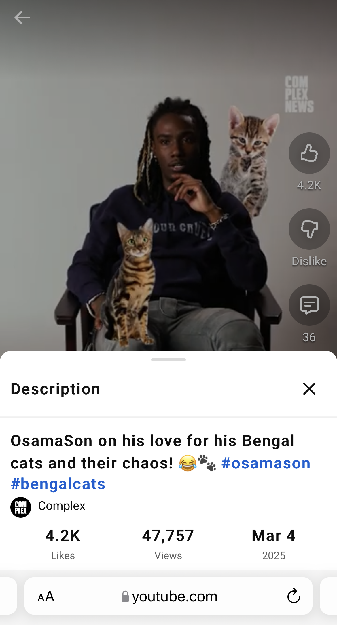 Pasted image 20251028062820.png| 300