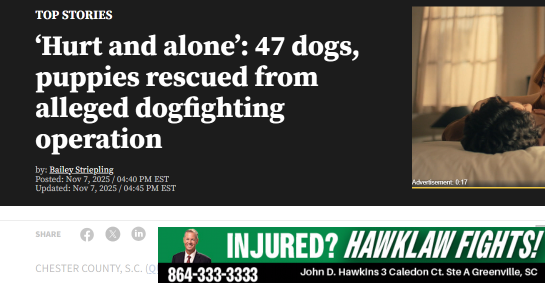 Pasted image 20251112142603.png