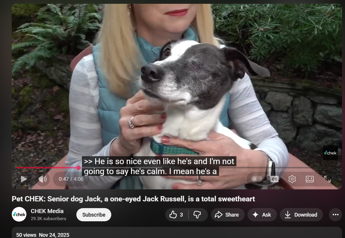 Pasted image 20251125153611.png