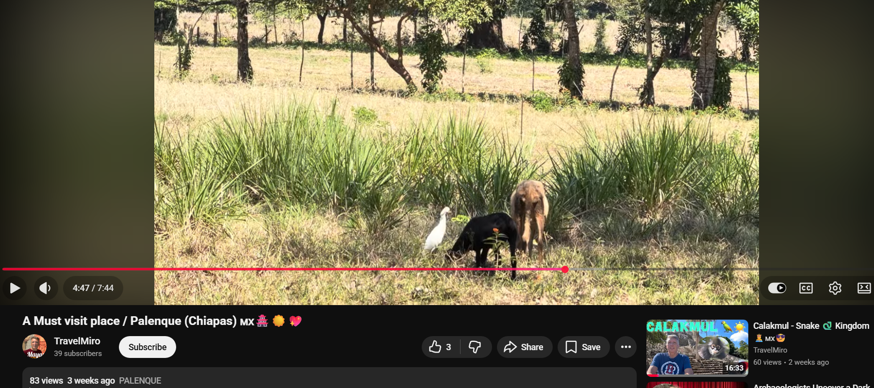 Pasted image 20260307032905.png