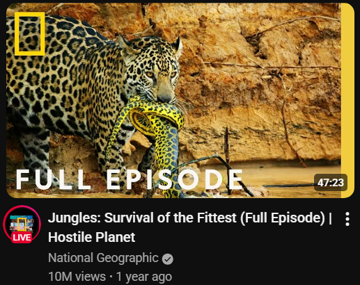 Pasted image 20260308221330.png