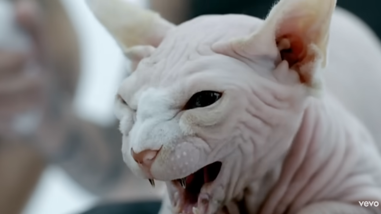 Pasted image 20260313011740.png