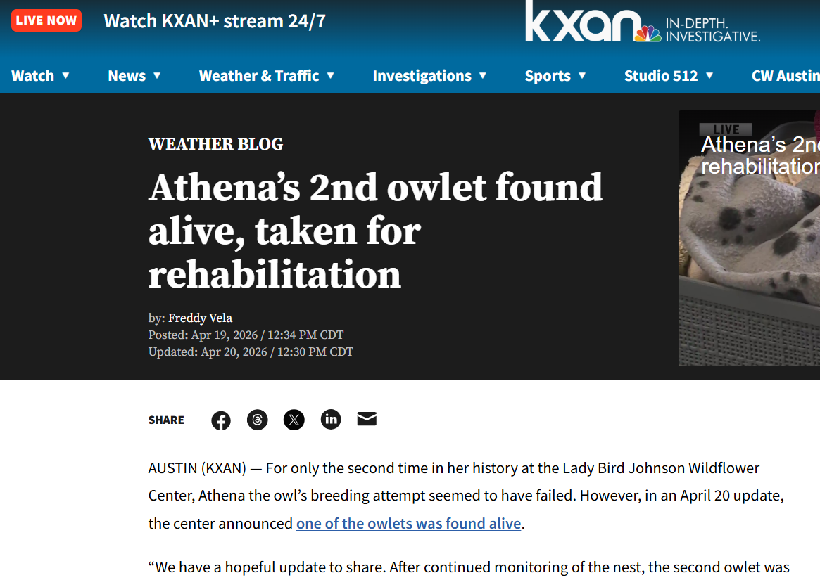 Pasted image 20260420182620.png