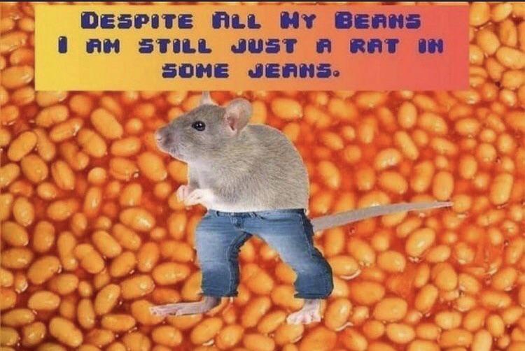 beans.jpg
