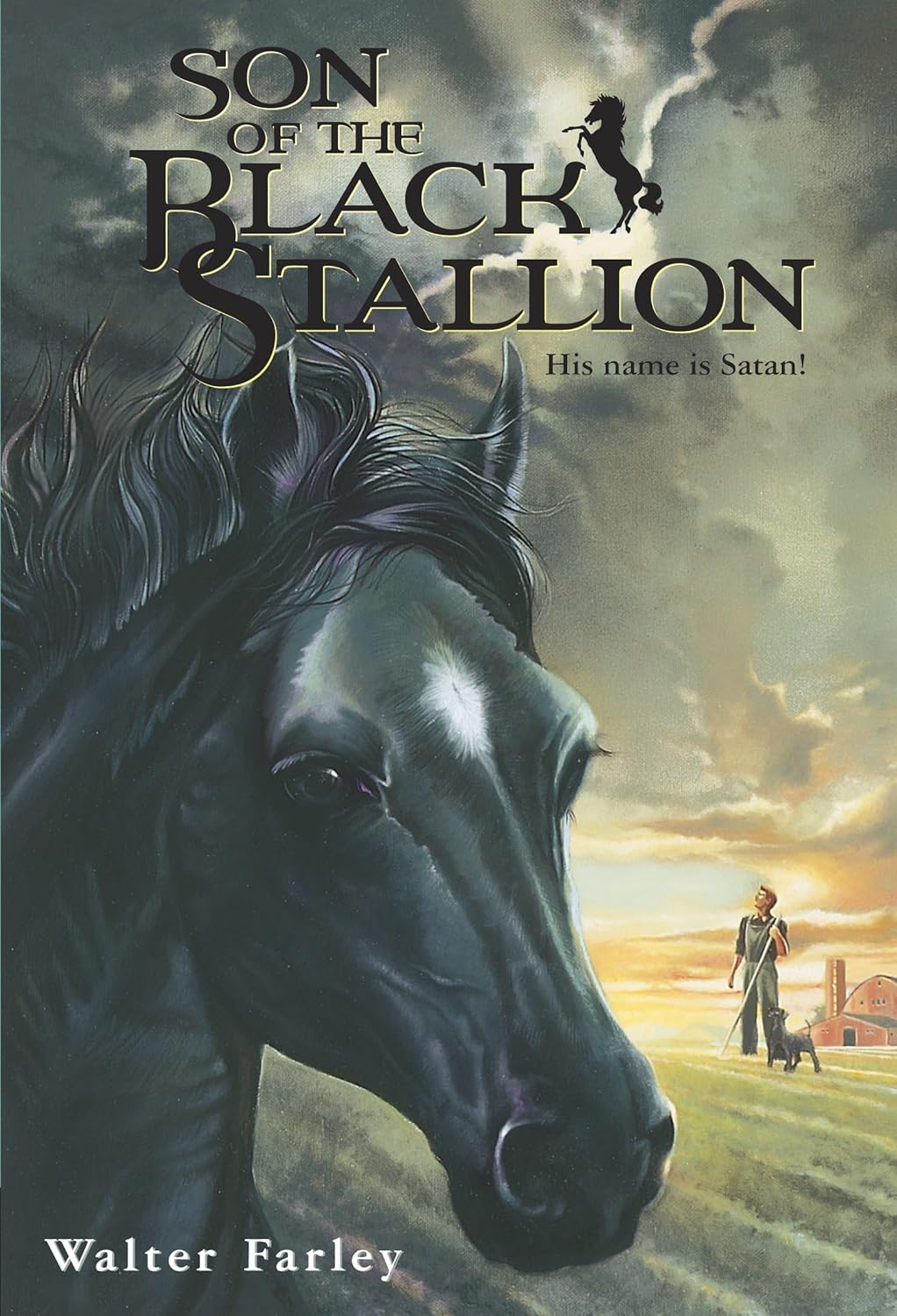 blackstallion.jpg| 300