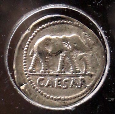 caesarelephant.jpg