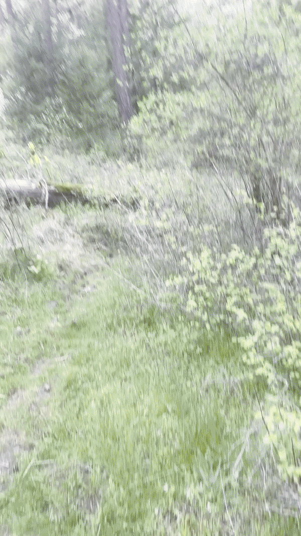 ezgif-445b3a2c39b99d11.gif| 300