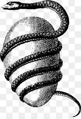 free-download-serpent-occult-world-egg-snake-orphic-egg-snake-png--comdlpng6961717.jpg