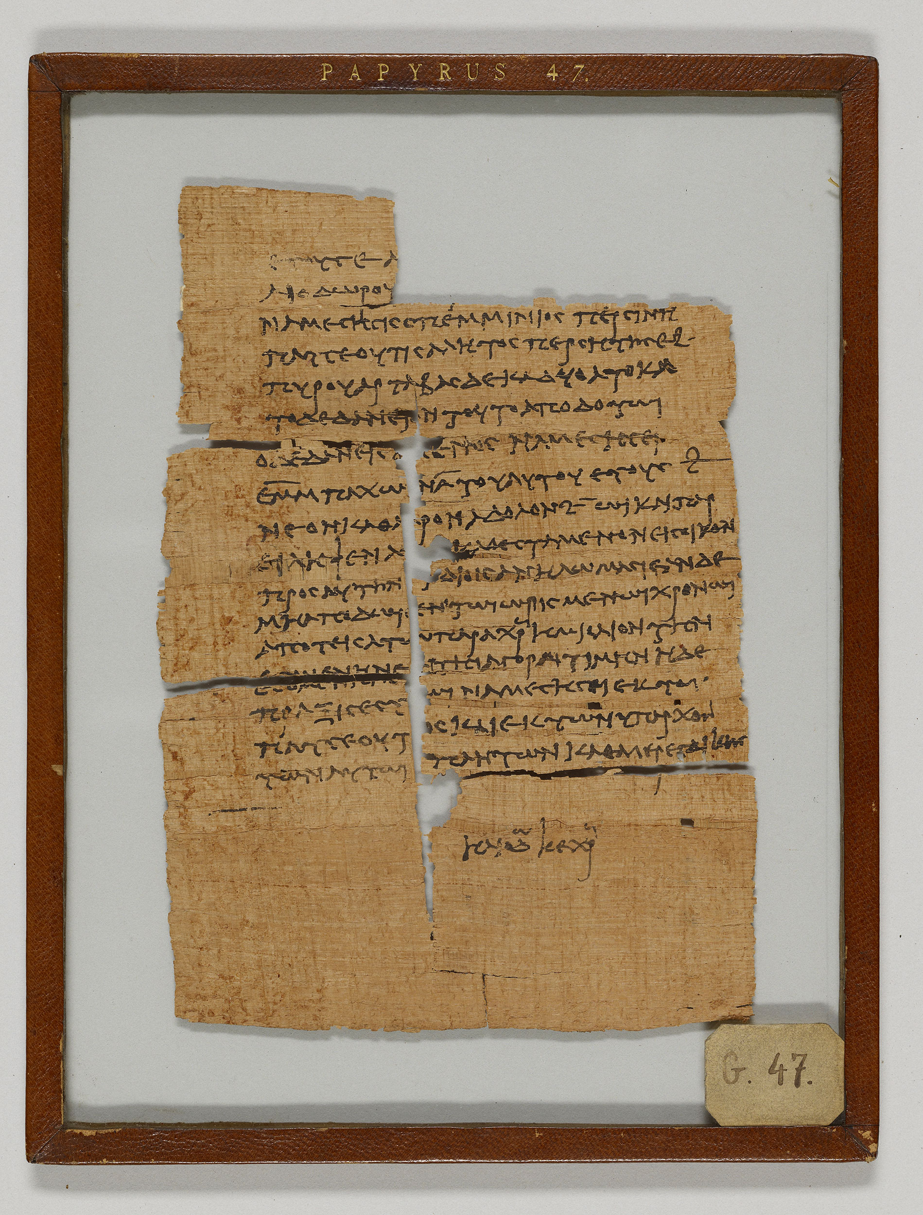 papyrus47.jpg